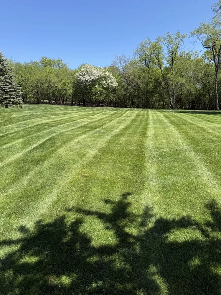 Affordable yard cleanup service for residential properties in Harvard, IL by Palos Altos Landscaping And Design