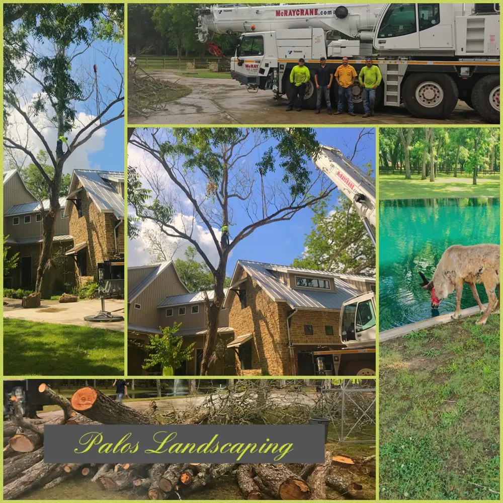 Top-rated yard cleanup service in Cypress, TX by Palos Landscaping