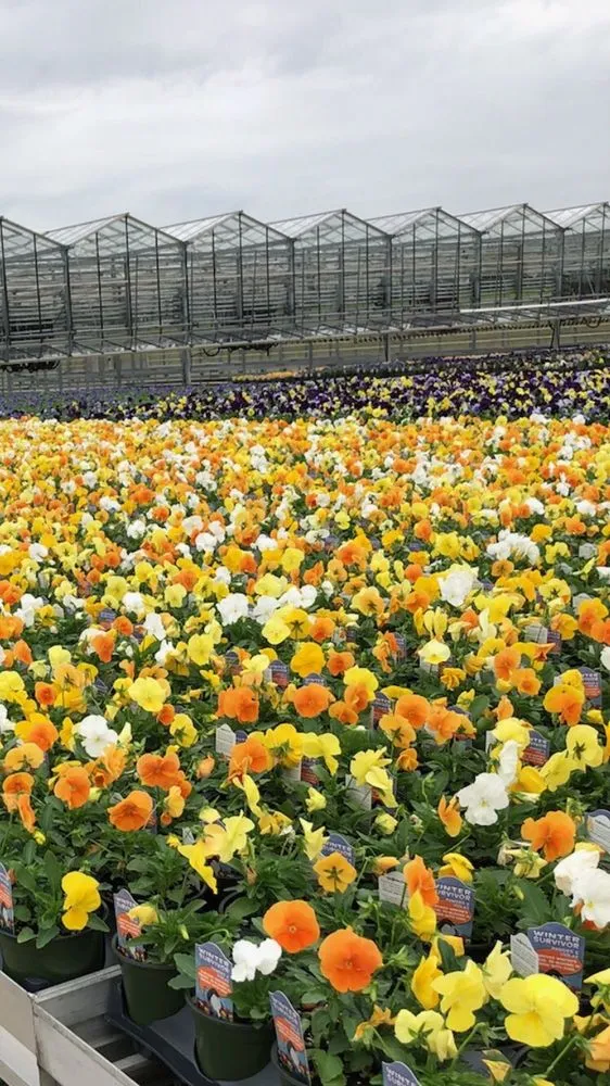 Top-rated landscaping services for year-round maintenance across Kinnelon, NJ - Palughi Landscape Services