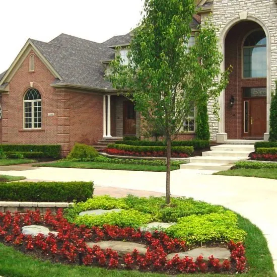 Professional lawn care service in Forest Lake, MN by Palumbo Landscaping & Services