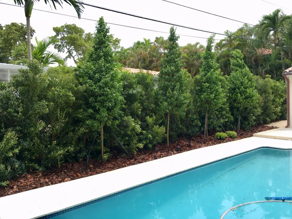 Local residential landscaping in Miami, FL by Pamar Landscape