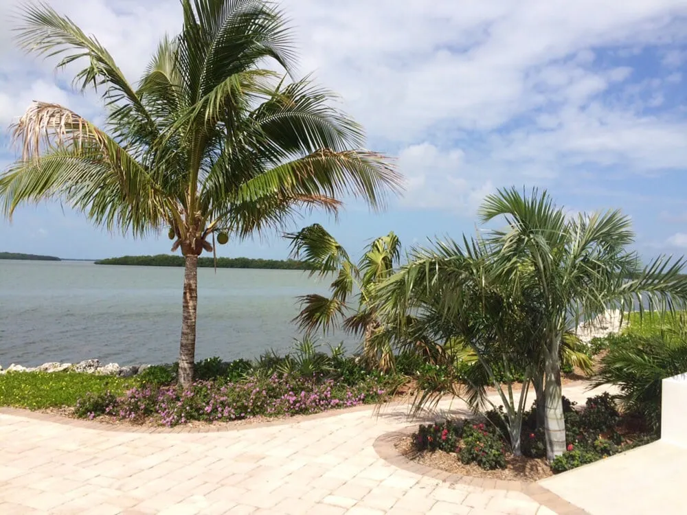 Top-rated lawn mowing service for outdoor upgrades in Miami, FL by Pamar Landscape