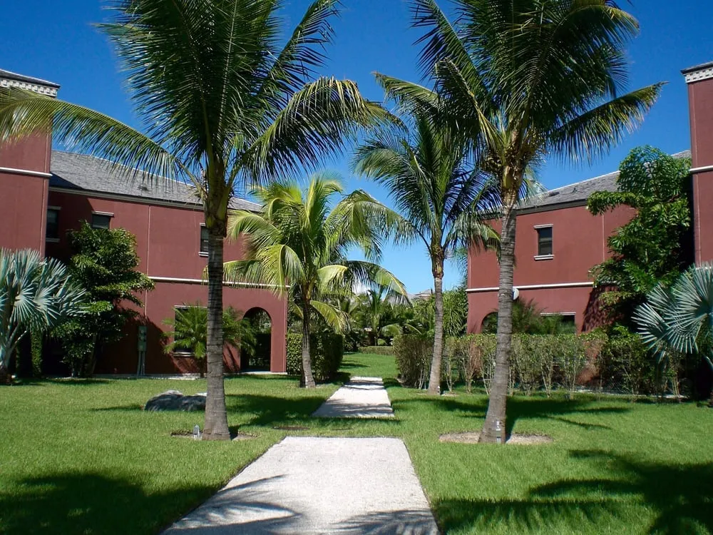 Affordable lawn care service for homes across Miami, FL - Pamar Landscape