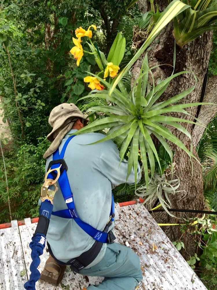 Affordable lawn care service with custom design in Miami, FL by Pamar Landscape