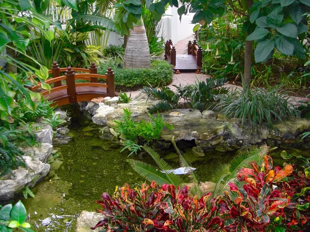 Custom yard cleanup service in Miami, FL by Pamar Landscape