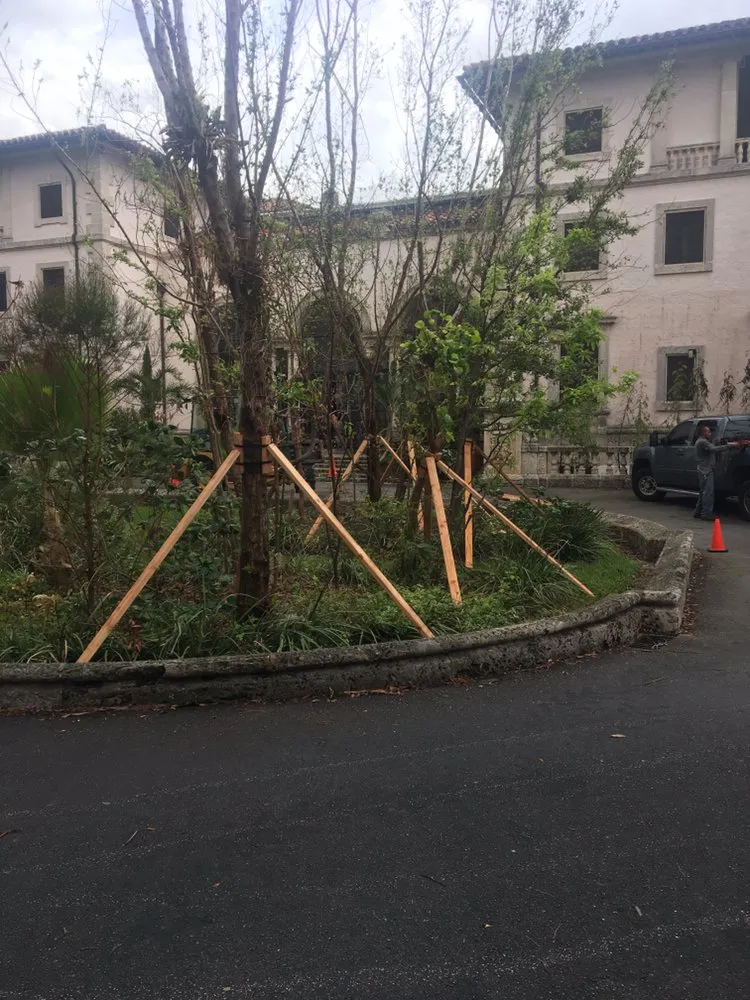 Professional residential landscaping in Miami, FL by Pamar Landscape