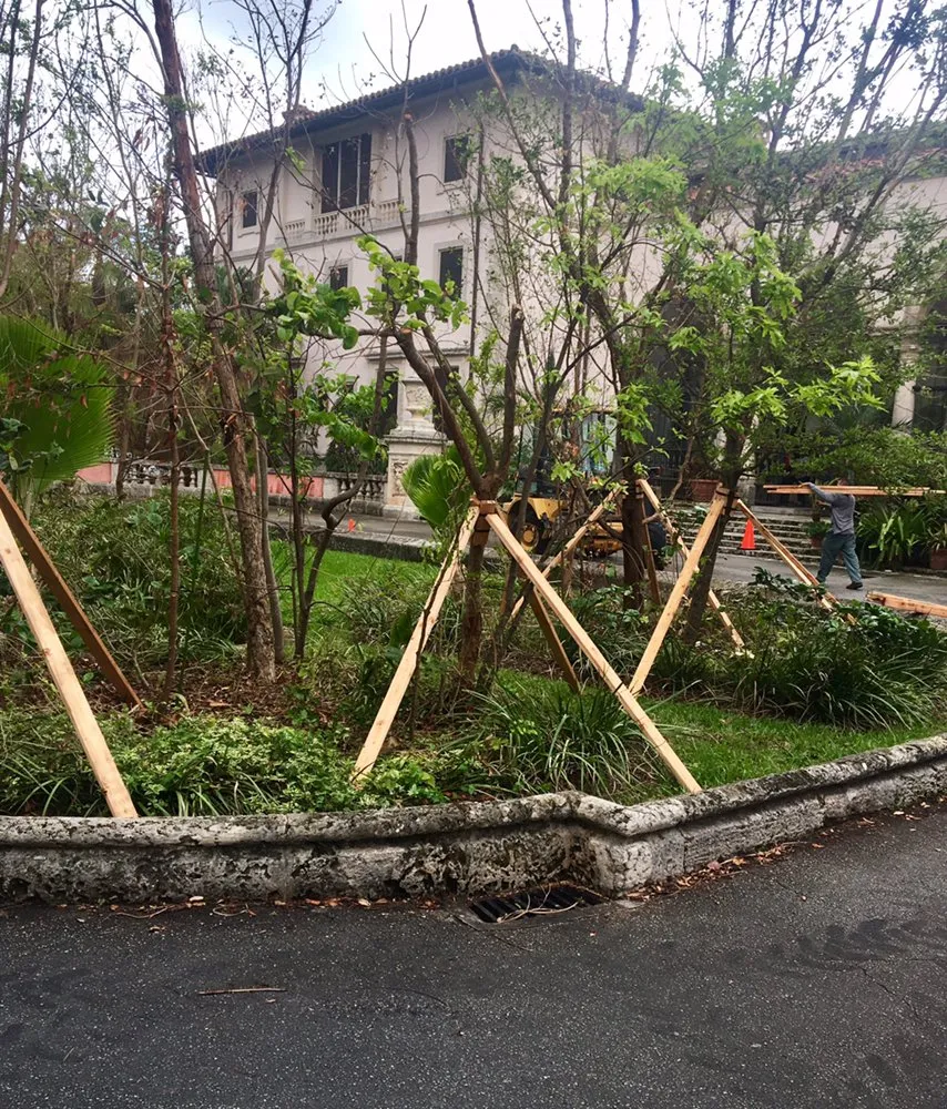 Professional yard maintenance for residential properties across Miami, FL - Pamar Landscape