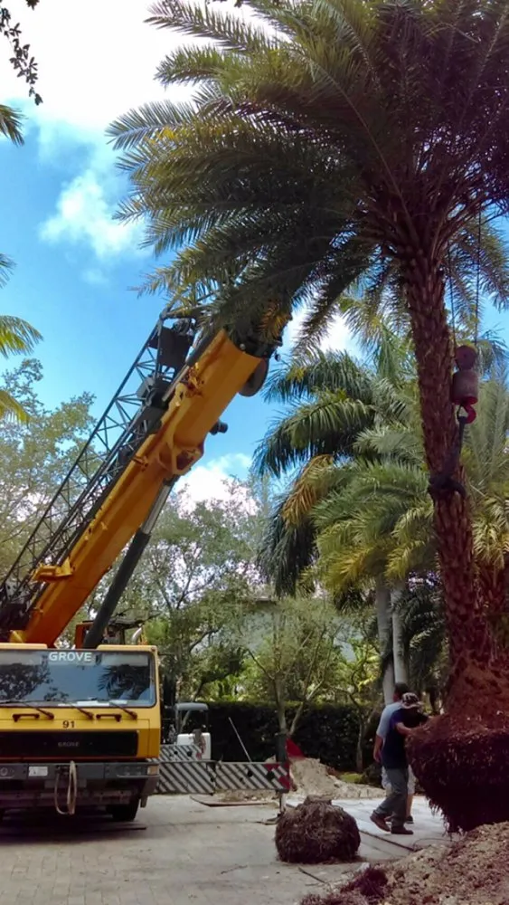 Trusted landscape design for residential properties in Miami, FL by Pamar Landscape