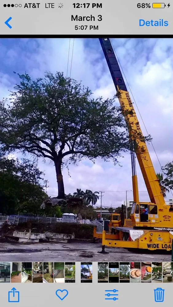 Affordable garden landscaping in Miami, FL - Pamar Landscape