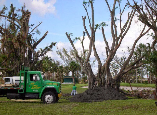 Professional lawn mowing service for year-round maintenance across Miami, FL - Pamar Landscape