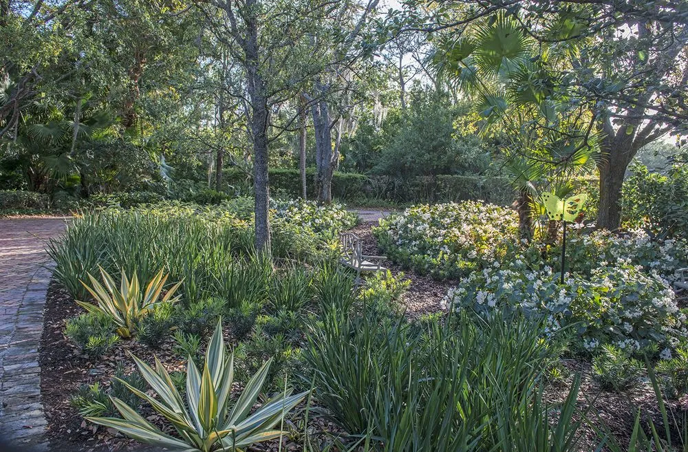 Local yard maintenance in Boca Raton, FL by Pamela Crawford & Associates