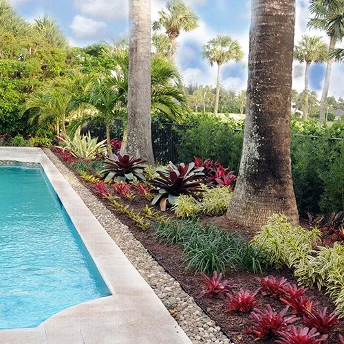 Professional yard maintenance for beautiful yards in Boca Raton, FL by Pamela Crawford & Associates
