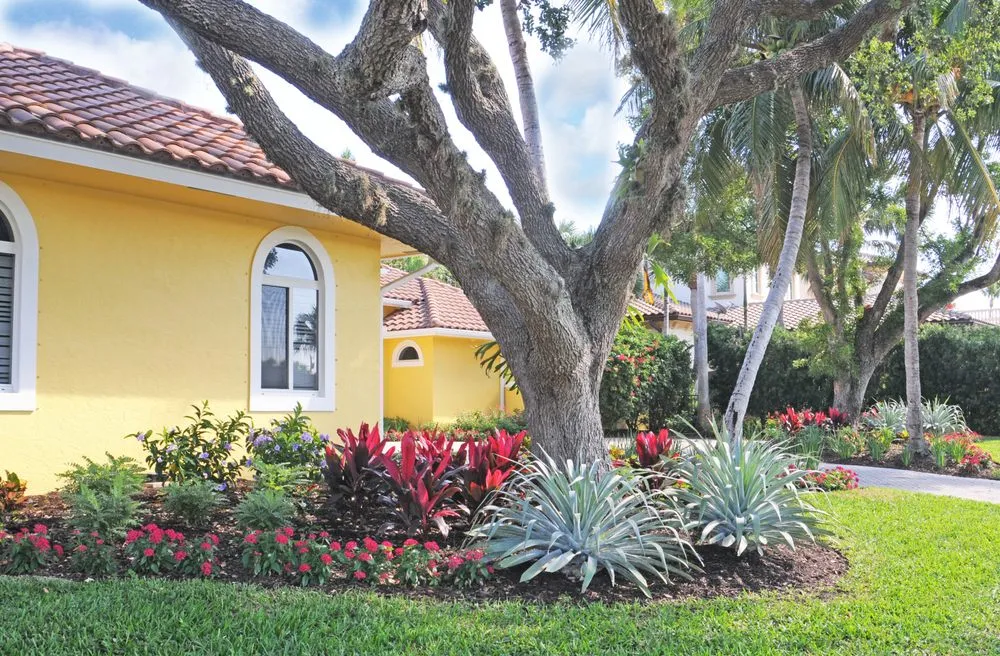 Professional landscape design for residential properties across Boca Raton, FL - Pamela Crawford & Associates