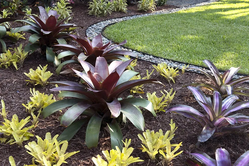 Expert landscaping services with custom design in Boca Raton, FL by Pamela Crawford & Associates