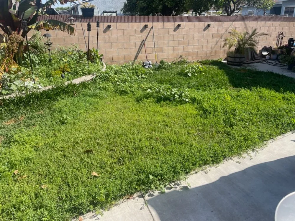 Local landscape installation in Anaheim, CA - Pampa Lawn & Garden Care