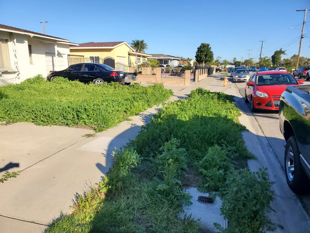 Reliable landscape installation in Anaheim, CA by Pampa Lawn & Garden Care