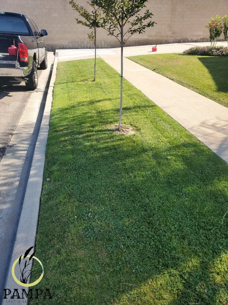 Local landscape installation in Anaheim, CA by Pampa Lawn & Garden Care