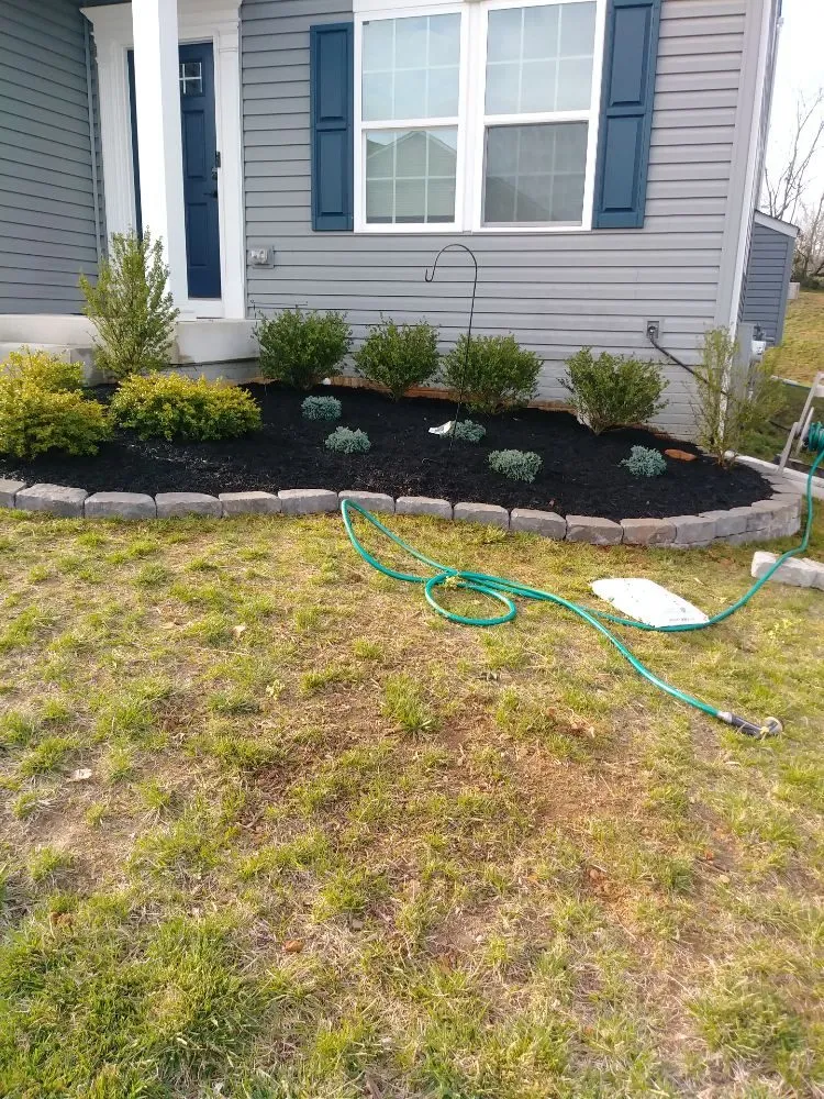 Affordable yard cleanup service for beautiful yards in Baltimore, MD by Pampering Lawn Care