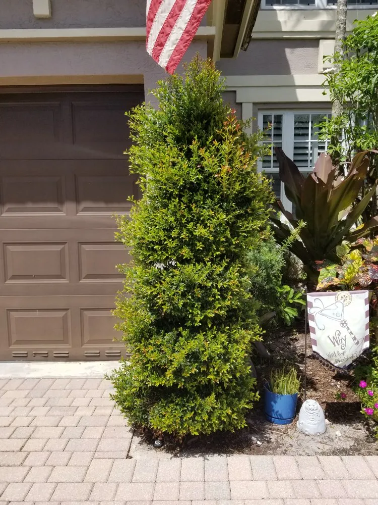 Local yard maintenance in Southwest Ranches, FL by Pan American Landscaping