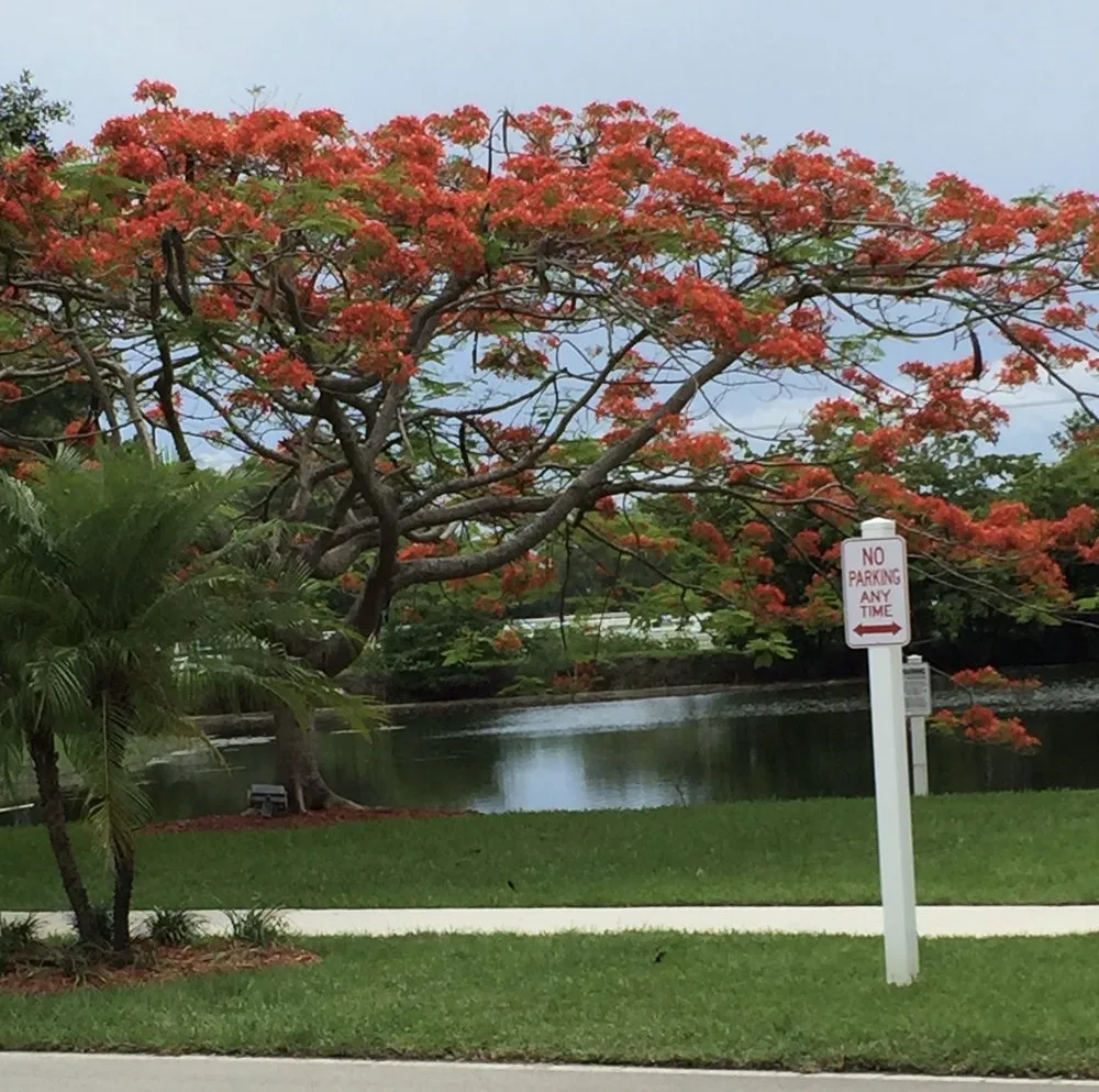 Trusted garden landscaping in Southwest Ranches, FL by Pan American Landscaping