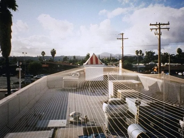 Top-rated yard cleanup service for outdoor upgrades in Glendale, CA by Pan American Pest Control Company