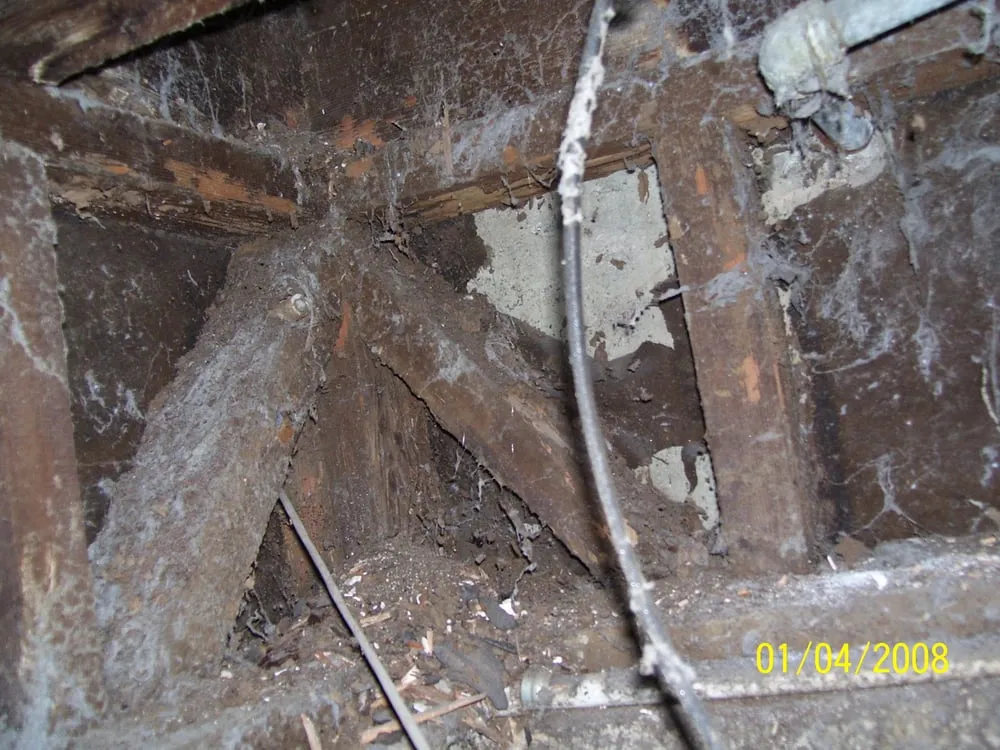 Reliable landscape design near you in Glendale, CA by Pan American Pest Control Company