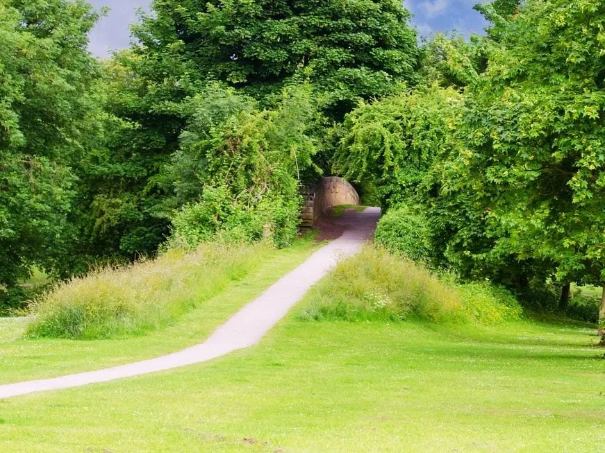 Expert residential landscaping experts serving Glendale, CA - Pan American Pest Control Company