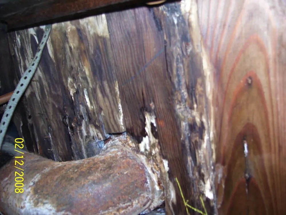 Custom yard cleanup service for residential properties across Glendale, CA - Pan American Pest Control Company