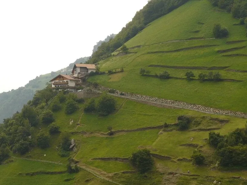 Reliable garden landscaping in Glendale, CA by Pan American Pest Control Company