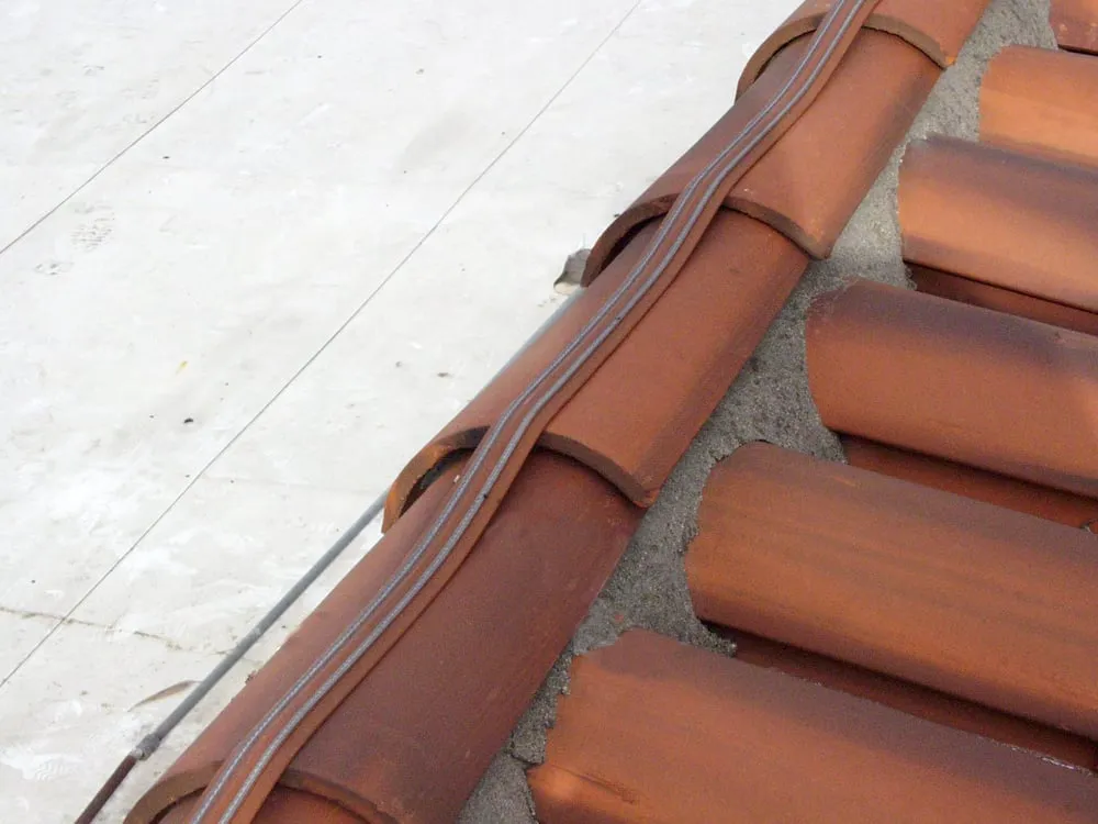 Reliable lawn mowing service for year-round maintenance across Glendale, CA - Pan American Pest Control Company