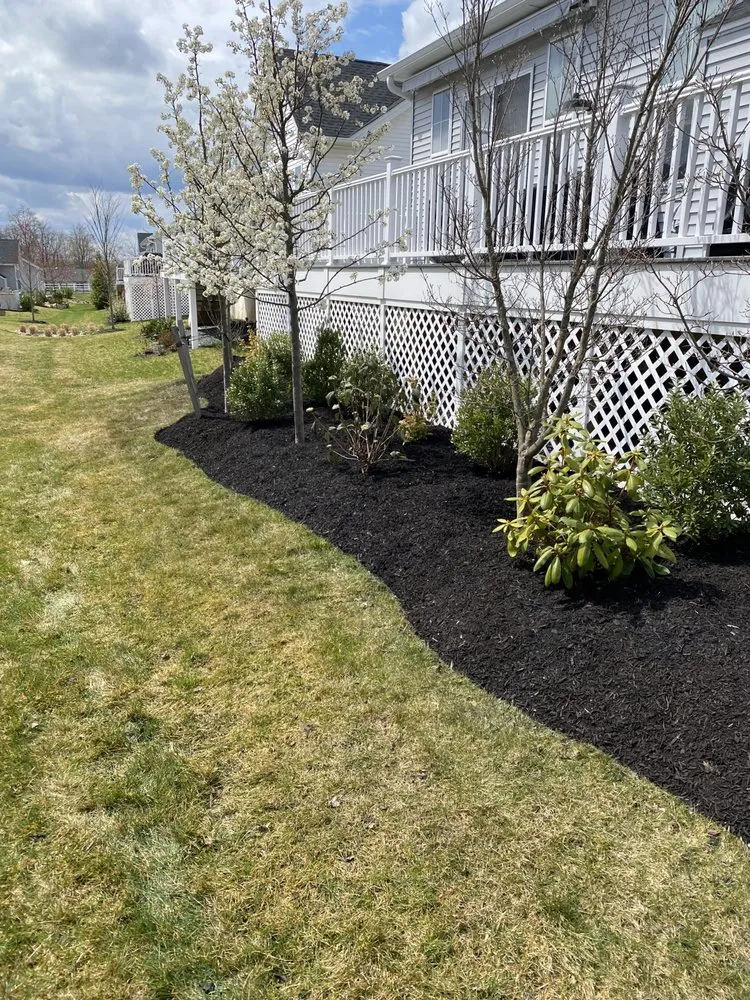 Professional yard maintenance experts serving Fort Washington, PA - Pana Landscaping