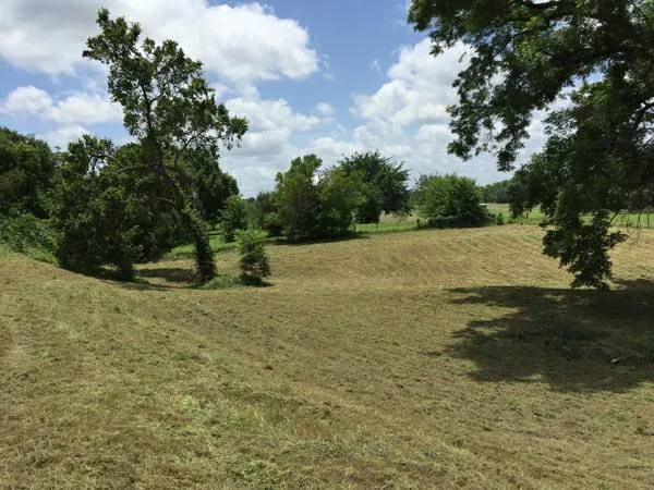 Professional residential landscaping in Bastrop, TX by Panacea Texas