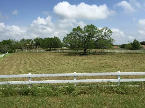 Professional landscaping services experts serving Bastrop, TX - Panacea Texas