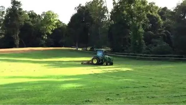 Affordable landscape design in Bastrop, TX - Panacea Texas