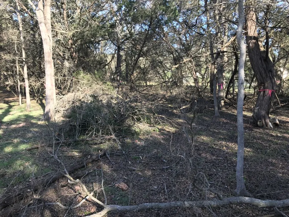 Custom landscaping services in Bastrop, TX - Panacea Texas