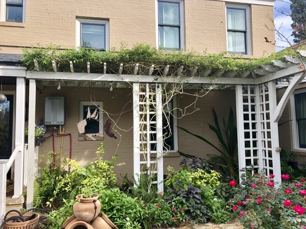 Reliable yard maintenance experts serving McAllen, TX - Panache Designs