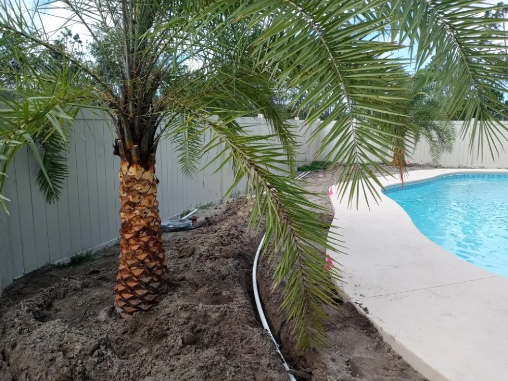 Trusted landscaping services for year-round maintenance in Panama City Beach, FL by Panama City Beach Lawn Services