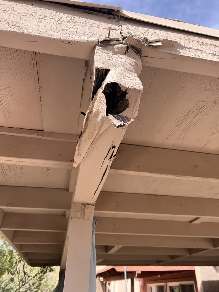 Affordable yard maintenance for outdoor upgrades across Tucson, AZ - Panama Lou's Tucsonan Landscaping