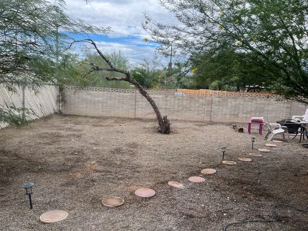 Custom yard cleanup service for year-round maintenance in Tucson, AZ by Panama Lou's Tucsonan Landscaping