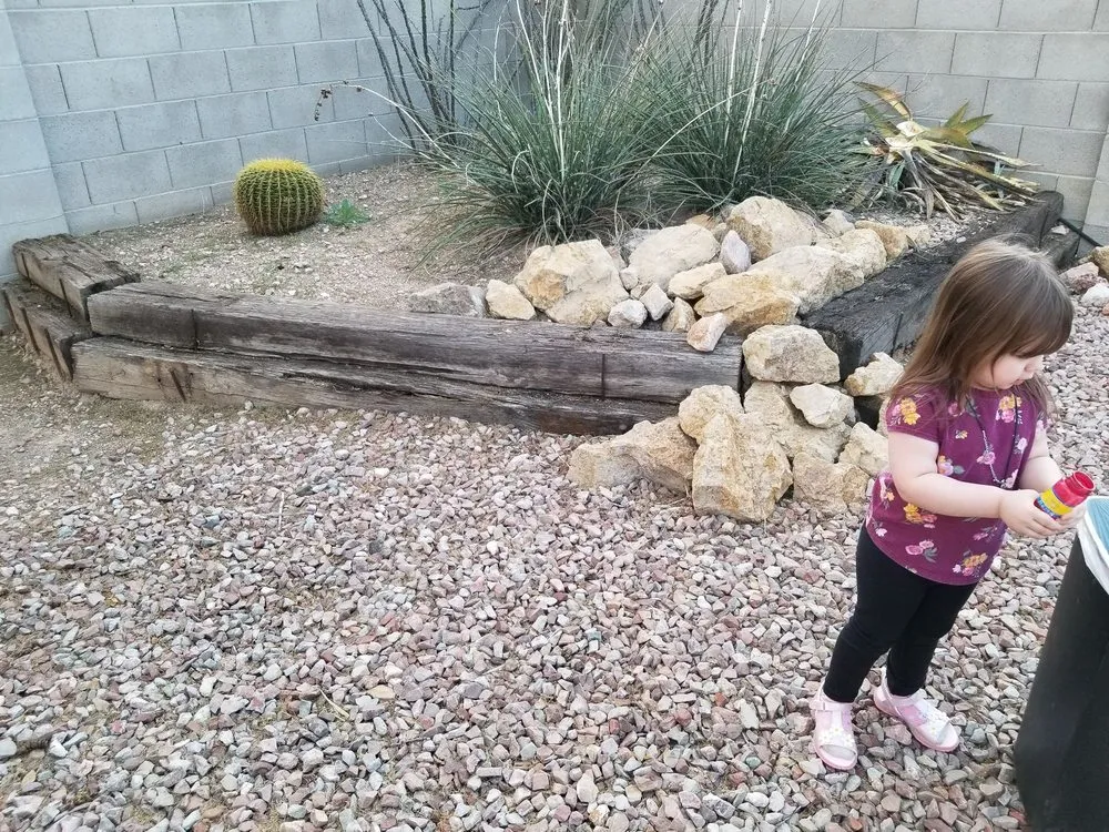Custom landscape installation with custom design across Tucson, AZ - Panama Lou's Tucsonan Landscaping