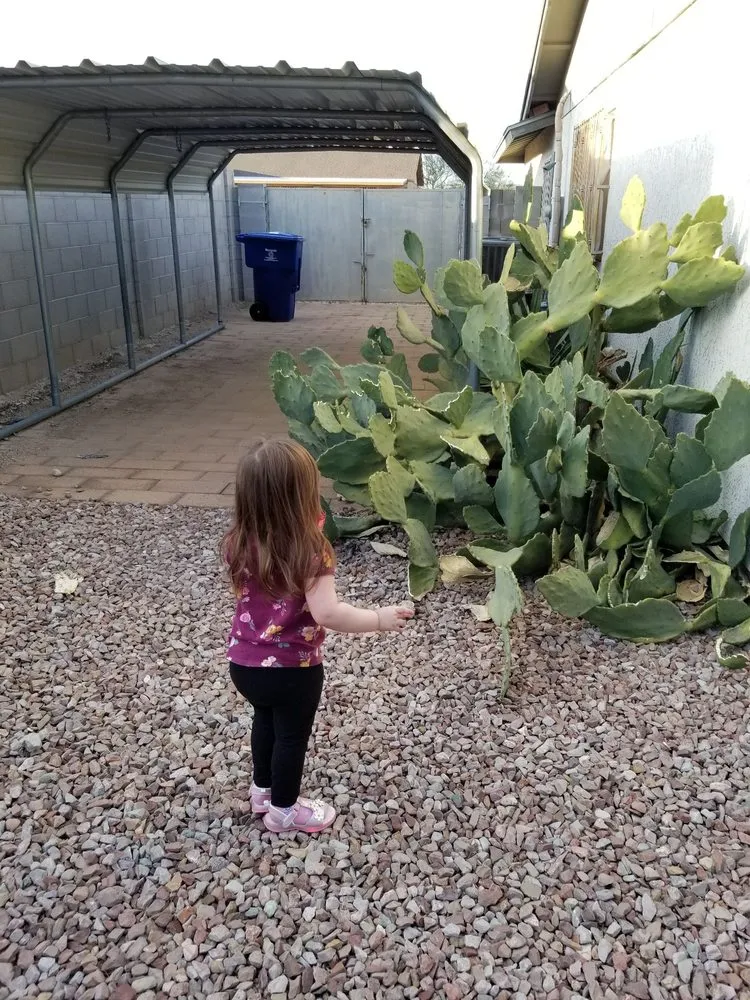 Local landscaping services in Tucson, AZ by Panama Lou's Tucsonan Landscaping