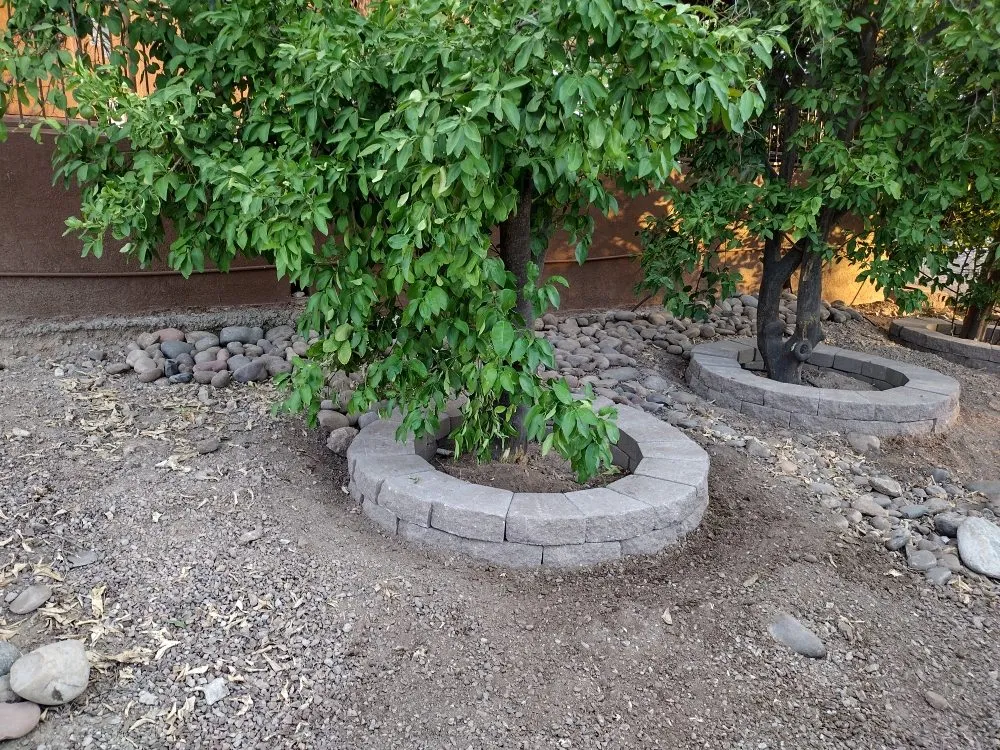 Professional garden landscaping in Tucson, AZ by Panama Lou's Tucsonan Landscaping
