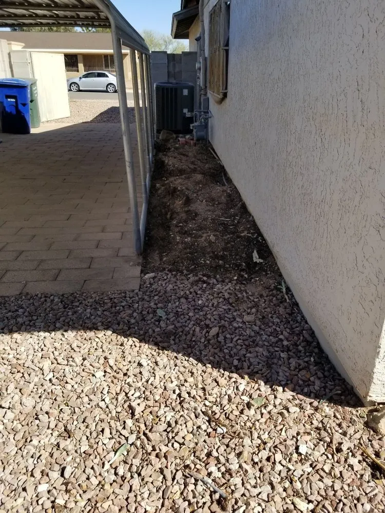 Professional yard maintenance in Tucson, AZ - Panama Lou's Tucsonan Landscaping