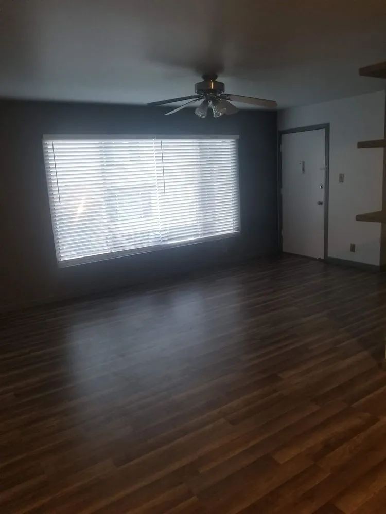 Professional yard cleanup service with custom design across Redwood City, CA - Panameno Construction Landscape