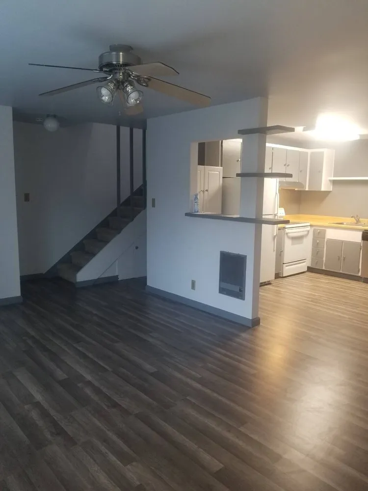 Trusted yard cleanup service experts serving Redwood City, CA - Panameno Construction Landscape