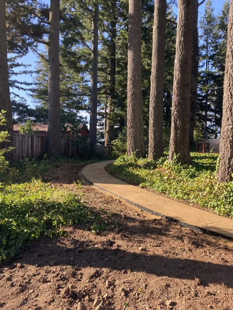 Trusted landscape installation for year-round maintenance across Redwood City, CA - Panameno Construction Landscape