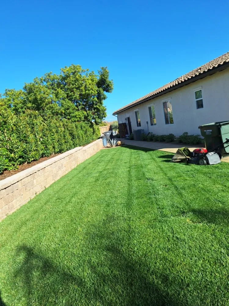 Expert landscape design experts serving Fallbrook, CA - Panchito's Tree Services