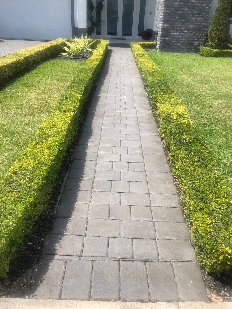 Top-rated landscape design with custom design across Miami, FL - Pancho El Nica