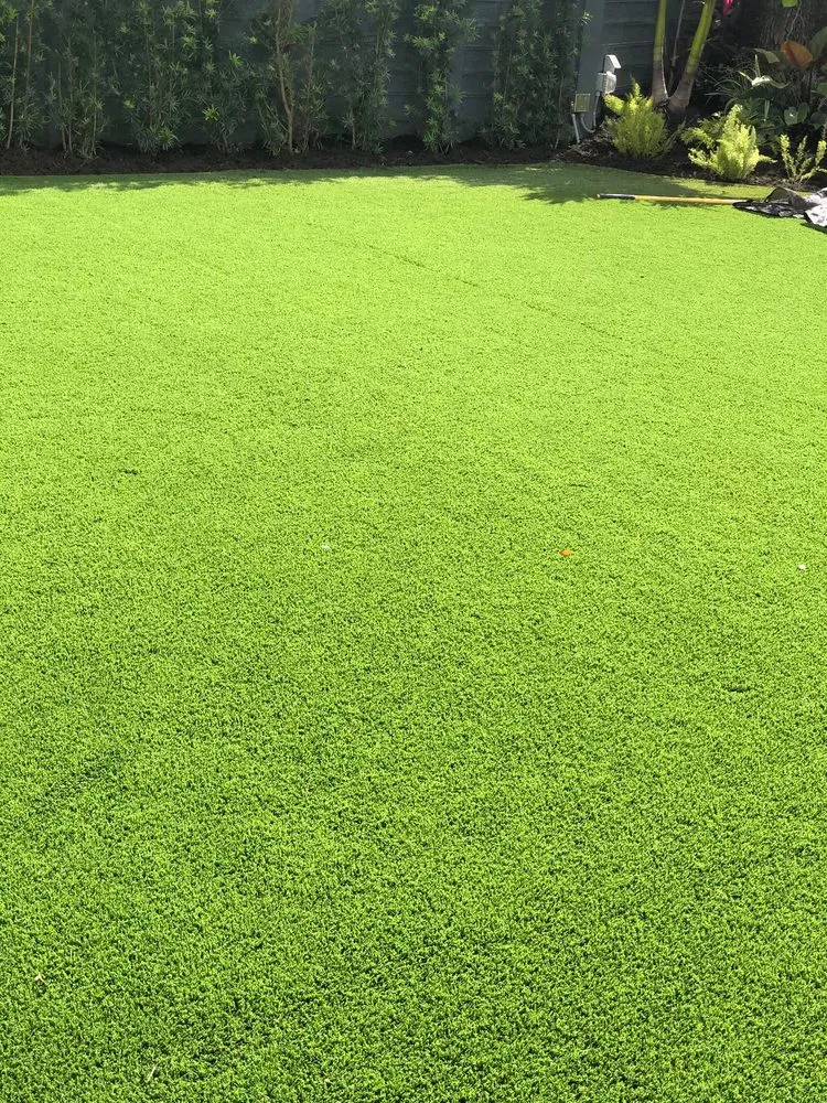 Custom yard maintenance for year-round maintenance in Miami, FL by Pancho El Nica