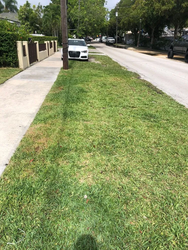 Professional lawn mowing service near you in Miami, FL by Pancho El Nica